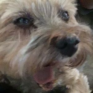 Meet your Posher, Cole